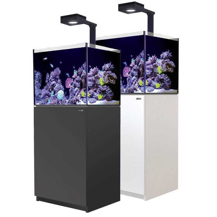 Red Sea Reefer 170 Deluxe Reef Lounge USA