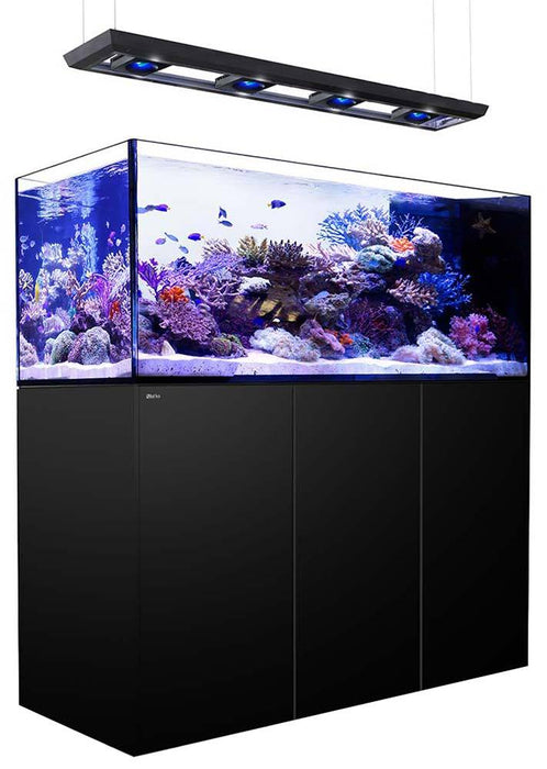 Red Sea REEFER Peninsula 650 BLACK Deluxe Reef Lounge USA