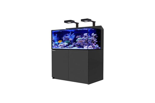 Red Sea Max E 260 BLACK Reef Lounge USA