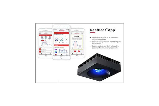Red Sea Max E 260 BLACK Reef Lounge USA