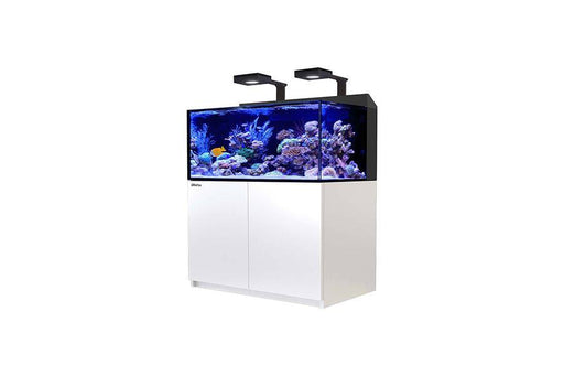 Red Sea Max E 260 WHITE Reef Lounge USA 