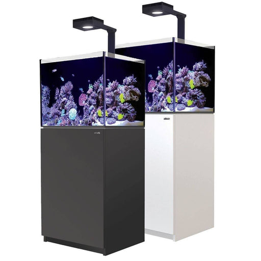 Red Sea Reefer 170 Deluxe Reef Lounge USA