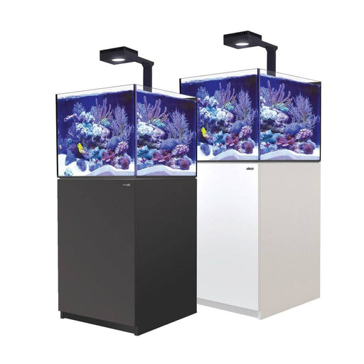 Red Sea Reefer 200XL Deluxe Reef Lounge USA