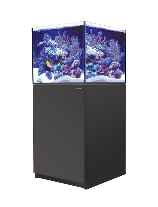 Red Sea Reefer 200XL Reef Lounge USA