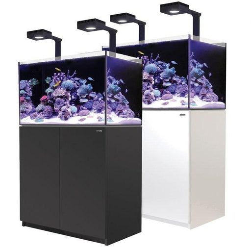 Red Sea Reefer 250 Deluxe Reef Lounge USA