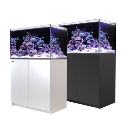 Red Sea Reefer 250 Reef Lounge USA