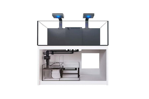 Red Sea Reefer 300XL Deluxe Reef Lounge USA