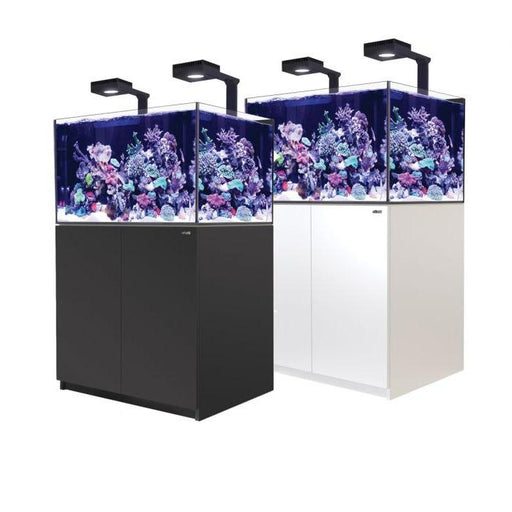 Red Sea Reefer 300XL Deluxe Reef Lounge USA