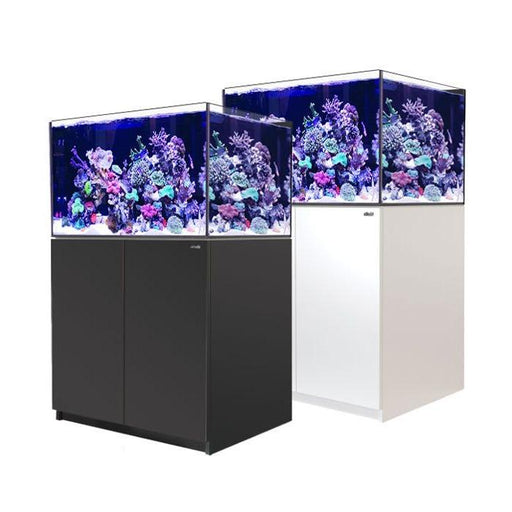 Red Sea Reefer 300XL Reef Lounge USA