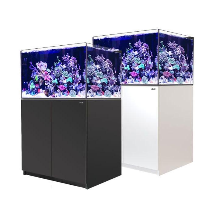 Red Sea Reefer 300XL Reef Lounge USA 