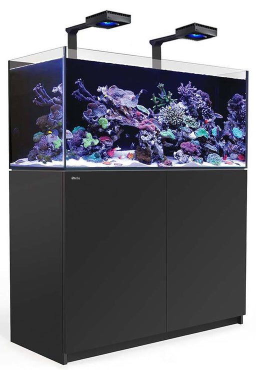Red Sea REEFER 425 XL BLACK Deluxe Reef Lounge USA