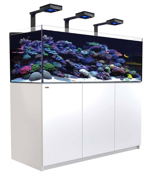 Red Sea REEFER 525 XL WHITE Deluxe Reef Lounge USA 