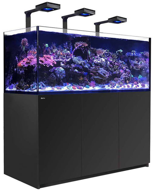 Red Sea REEFER 625 XXL BLACK Deluxe Reef Lounge USA