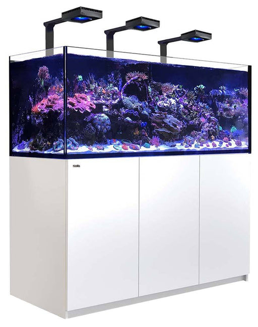 Red Sea REEFER 625 XXL WHITE Deluxe Reef Lounge USA