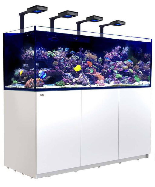 Red Sea REEFER 750 XXL WHITE Deluxe Reef Lounge USA