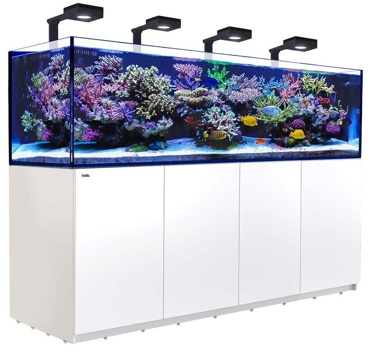 Red Sea REEFER 900 3XL WHITE Deluxe Reef Lounge USA 