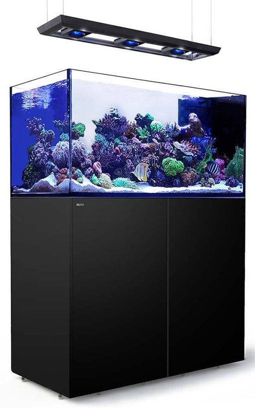 Red Sea REEFER Peninsula 500 BLACK Deluxe Reef Lounge USA