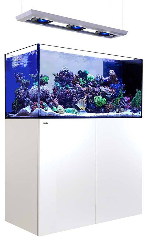 Red Sea REEFER Peninsula 500 WHITE Deluxe Reef Lounge USA