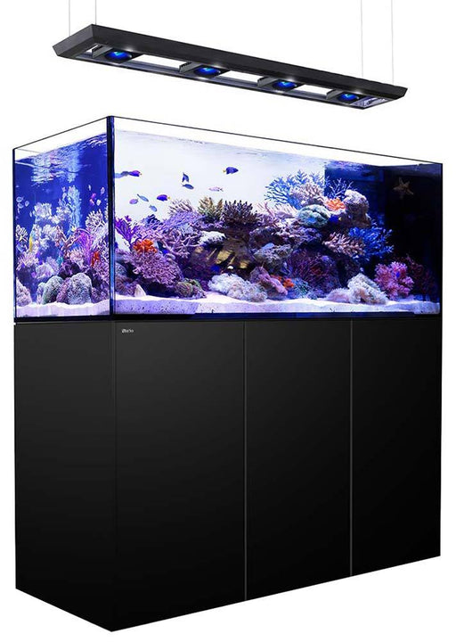 Red Sea REEFER Peninsula 650 BLACK Deluxe Reef Lounge USA