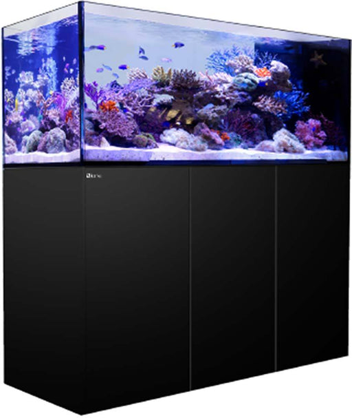 Red Sea REEFER Peninsula 650 BLACK Reef Lounge USA