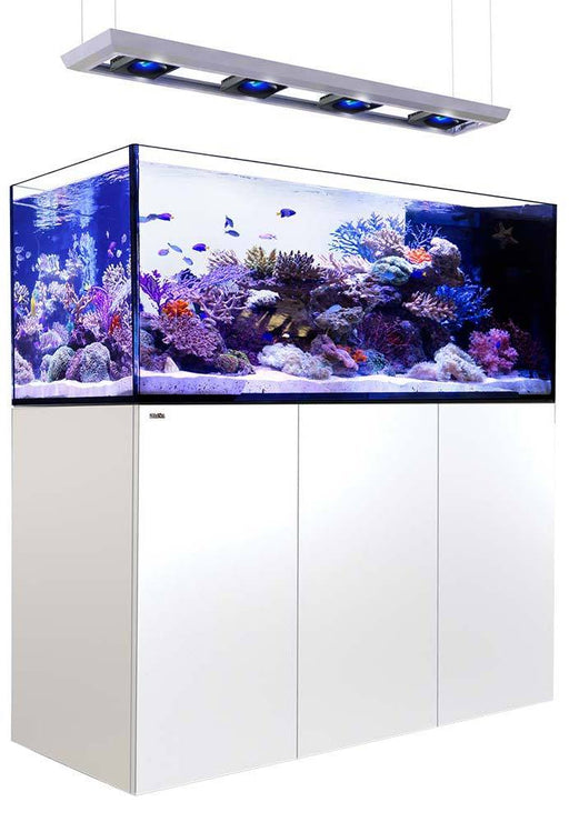 Red Sea REEFER Peninsula 650 WHITE Deluxe Reef Lounge USA