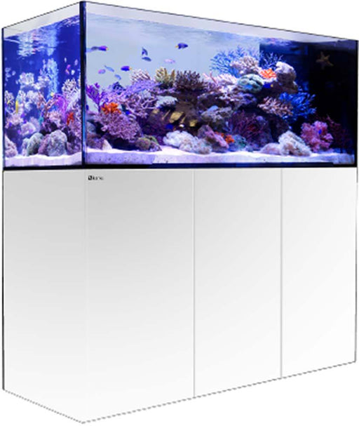 Red Sea REEFER Peninsula 650 WHITE Reef Lounge USA